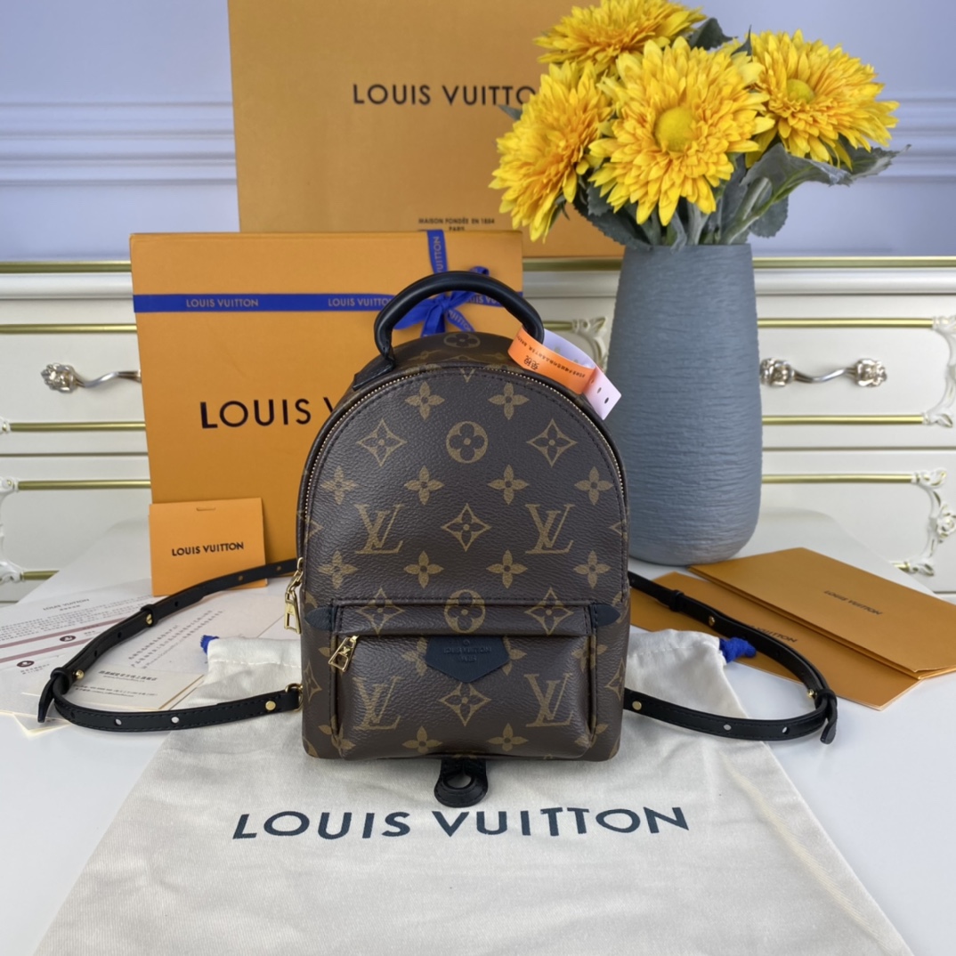 Louis Vuitton PALM SPRINGS PM Backpack Monogram M44871